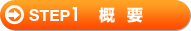 Step1 �T�v