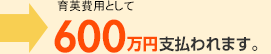 入院保険金(3,400円/日×70日間=23万8千円)通院保険金(2,000円/日×20日間=4万円)27万8千円支払われました。