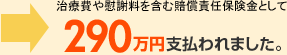 治療費や慰謝料を含む賠償責任保険金として290万円支払われました。