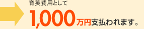 入院保険金(4000円/日×70日間=28万円)通院保険金(2,440円/日×25日間=6万1千円)34万1千円支払われました。