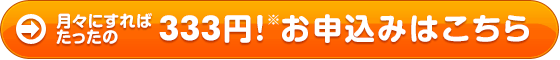 月々にすればたったの333円!※お申込みはこちら