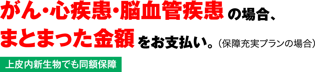 ESE]ǎ̏ꍇA܂Ƃ܂zxBiۏ[v̏ꍇj
