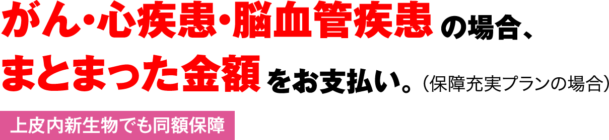Ɛff/@ASE]ǎœ@ꍇɈꎞxBiۏ[v̏ꍇj