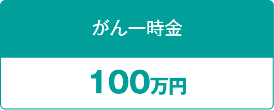 ꎞ 100~