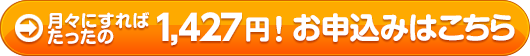 月々にすればたったの1,428円!お申込みはこちら